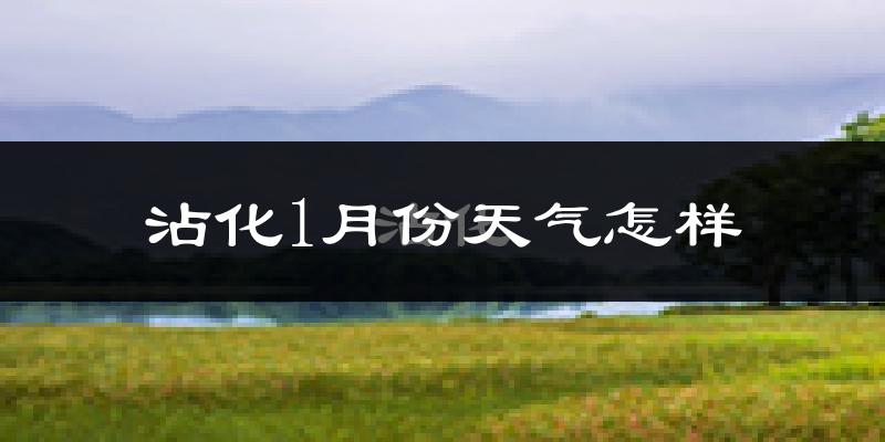 沾化1月份天气怎样?沾化一月冷不冷?