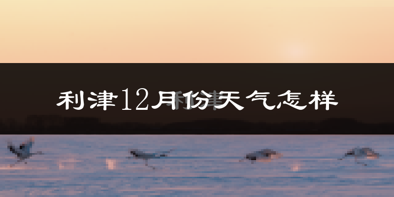 利津12月份天气怎样?利津十二月冷不冷?