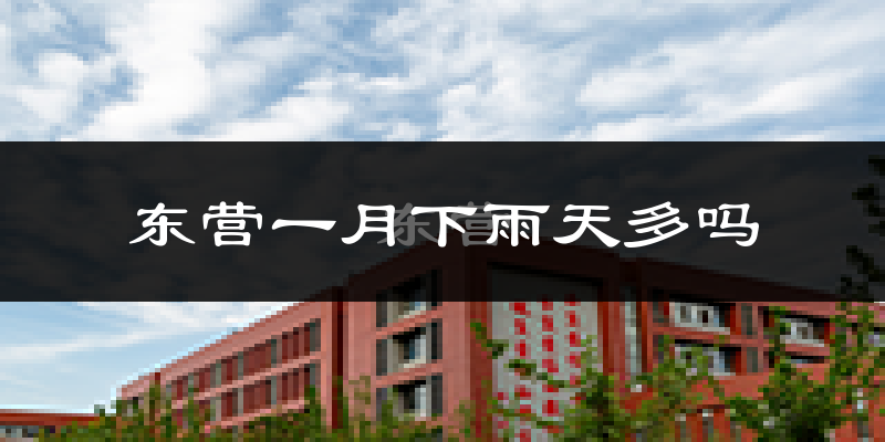 东营一月下雨天多吗?东营1月份降雨量多少?