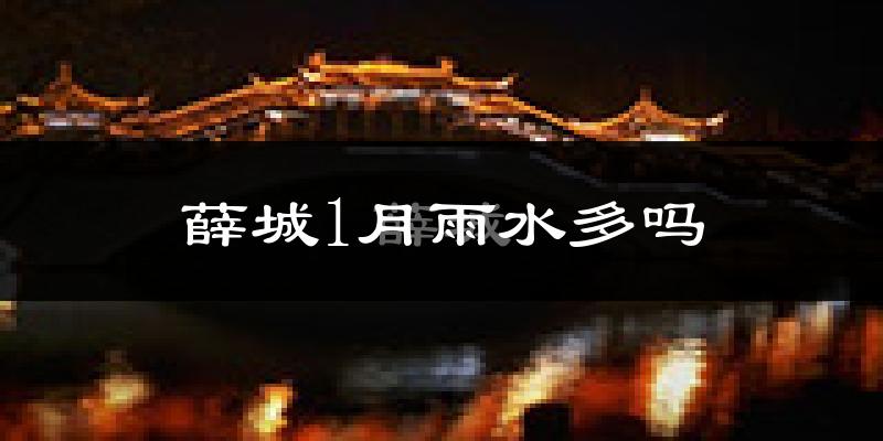 薛城1月雨水多吗?