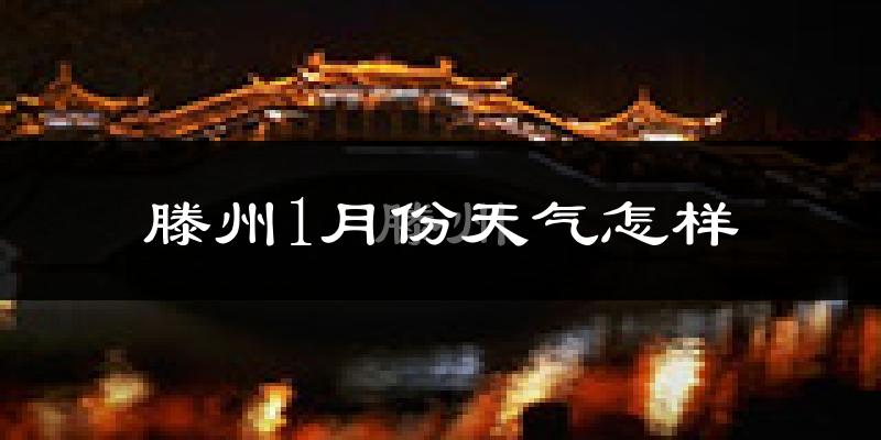 滕州市1月份天气如何?很冷吗?