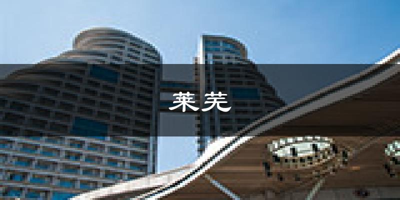 济南莱芜天气预报未来一周