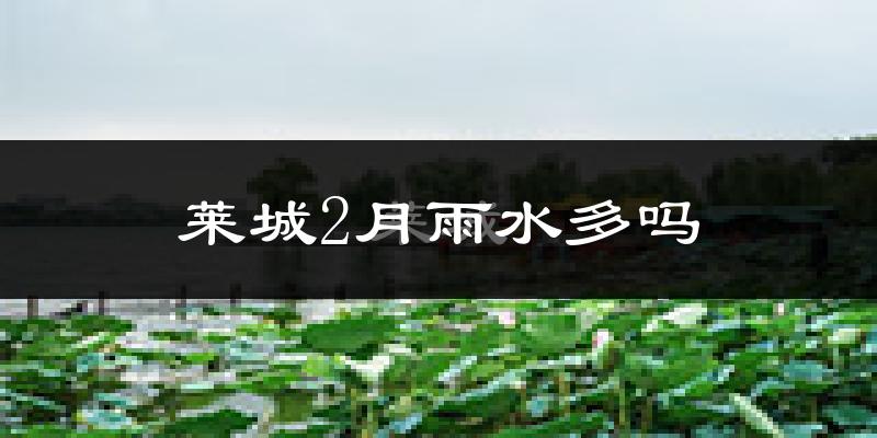 莱城2月雨水多吗?