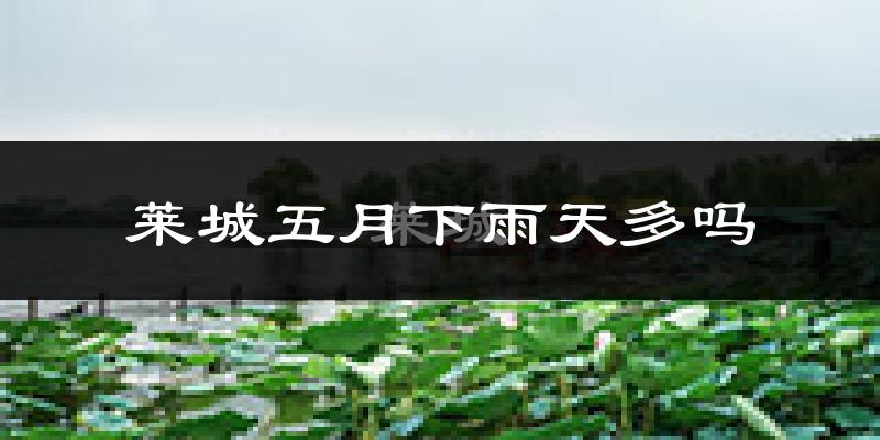 莱城五月下雨天多吗?莱城5月份降雨量多少?