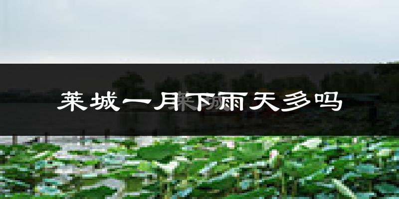 莱城一月下雨天多吗?莱城1月份降雨量多少?