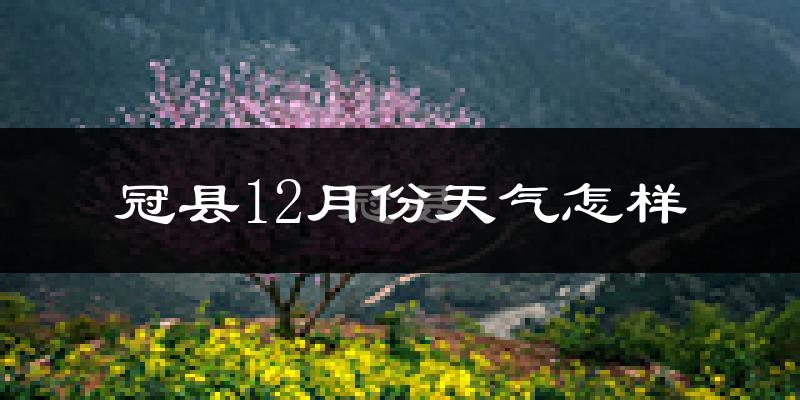 冠县12月份天气怎样?冠县十二月冷不冷?