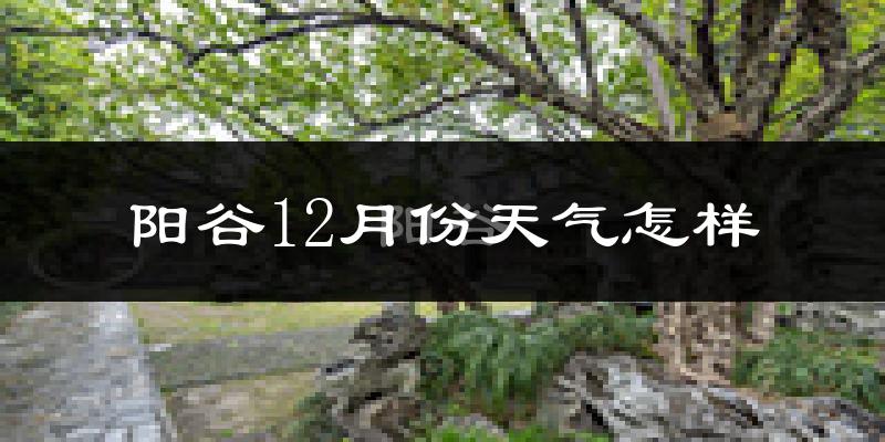 阳谷12月份天气怎样?阳谷十二月冷不冷?