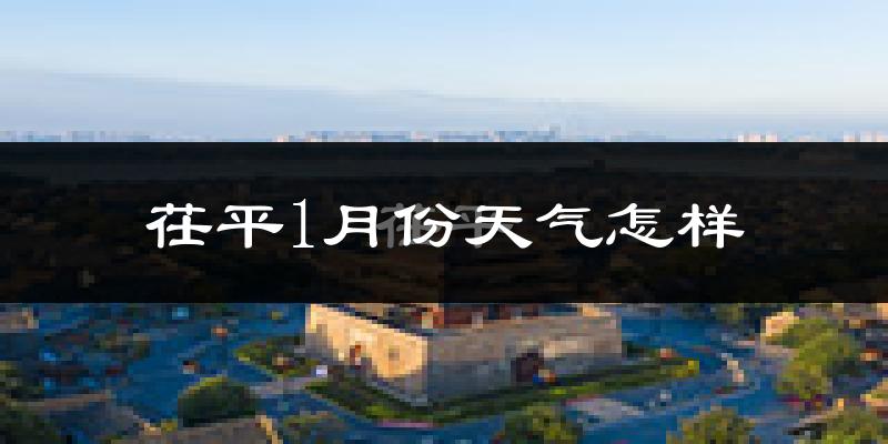 茌平县1月份天气如何?很冷吗?