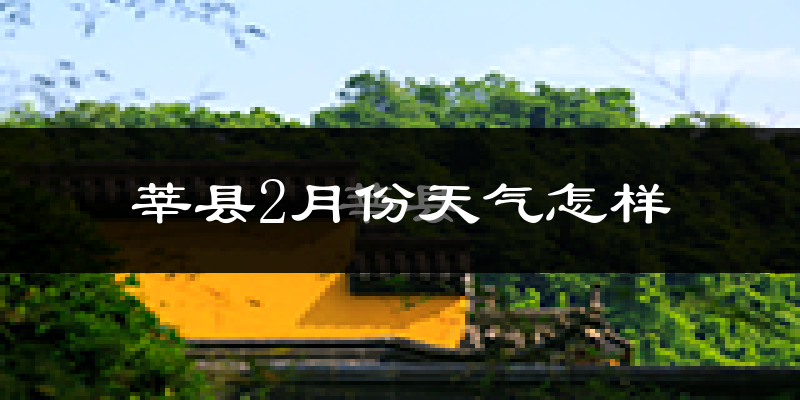 莘县2月份天气如何?冷吗?过去两年二月天气深度解析