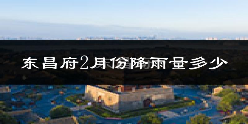东昌府2月份降雨量多少?东昌府二月下雨多吗?