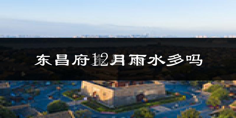 东昌府12月雨水多吗?
