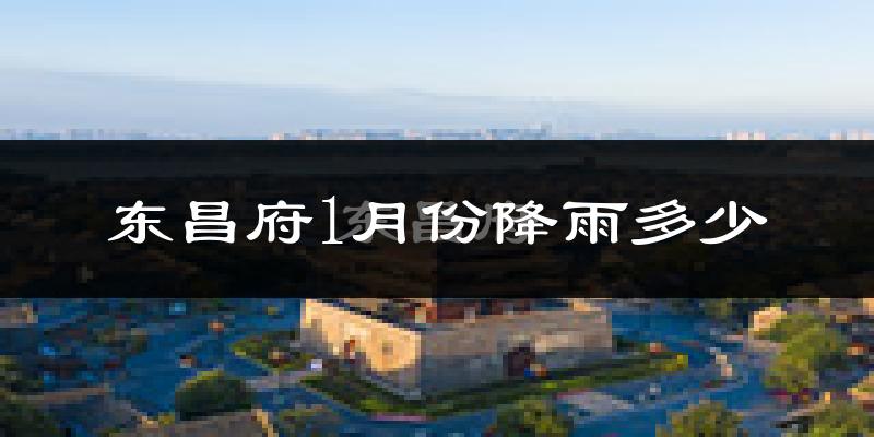 东昌府1月份降雨多少?