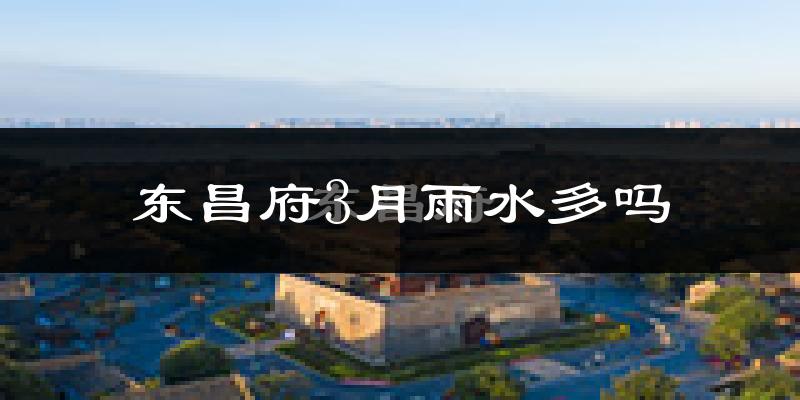 东昌府3月雨水多吗?