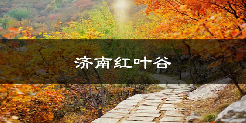 济南红叶谷气温
