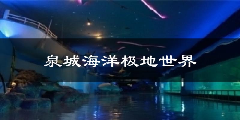 泉城海洋极地世界气温