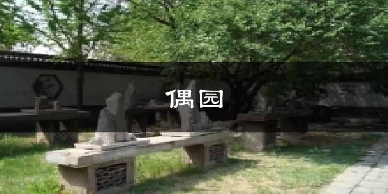 偶园气温