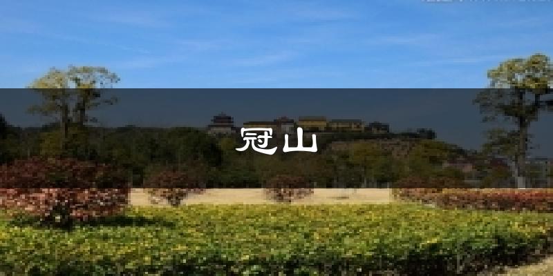 冠山今日天气
