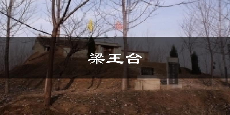 梁王台今日天气