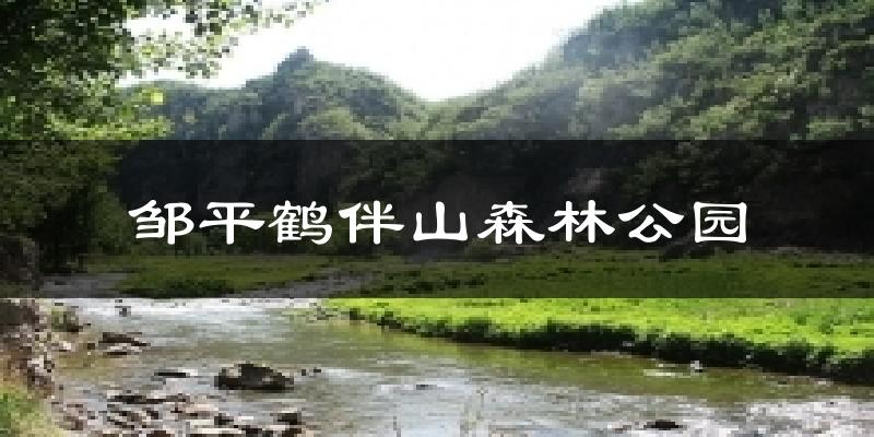 邹平鹤伴山森林公园气温