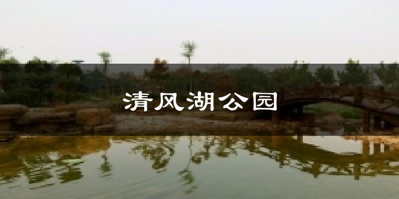 清风湖公园气温