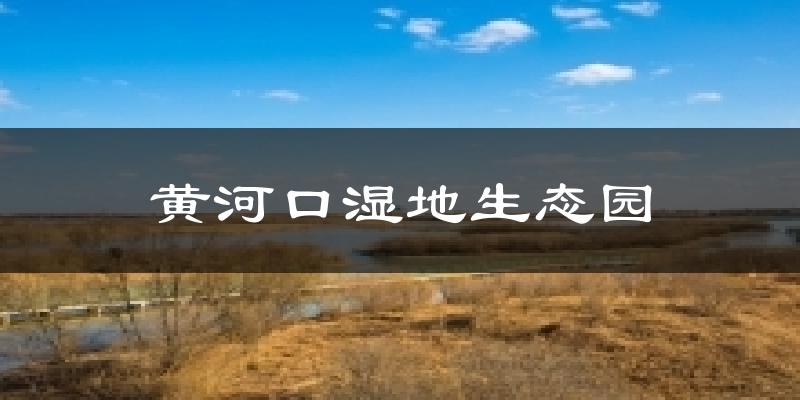 黄河口湿地生态园今日天气