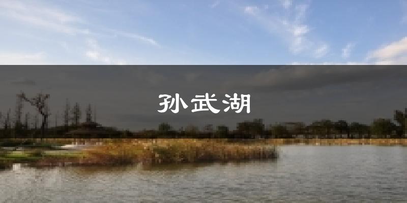 孙武湖气温