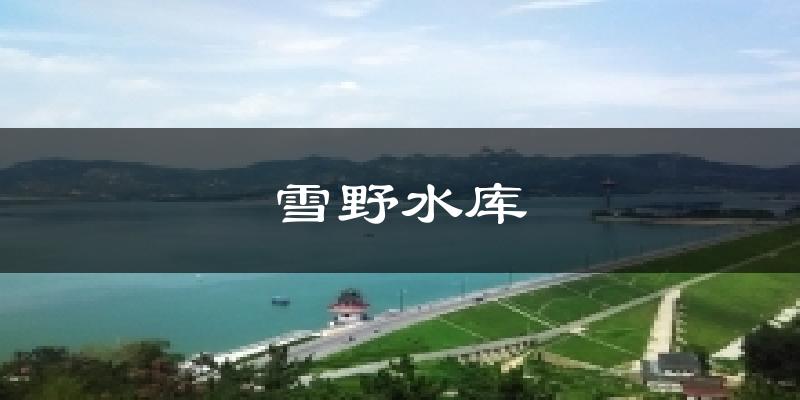 雪野水库气温