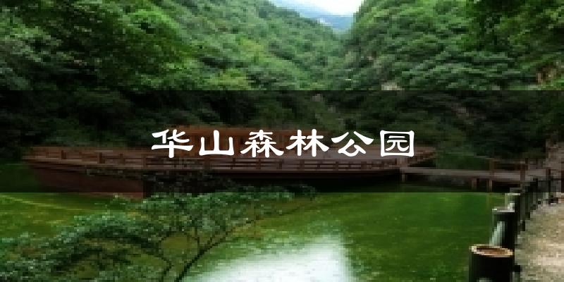 华山森林公园气温