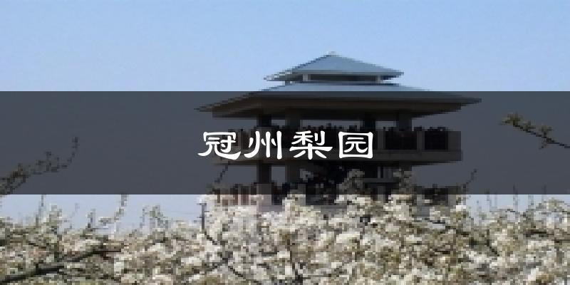 冠县冠州梨园天气预报未来一周