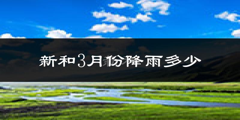 新和3月份降雨多少?