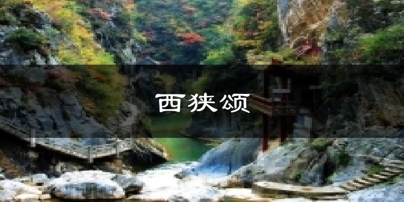 西狭颂天气预报十五天