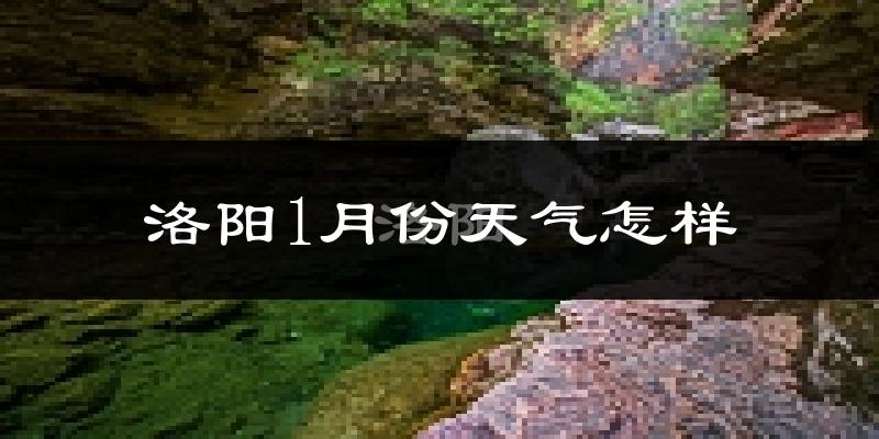 洛阳1月份天气如何?很冷吗?