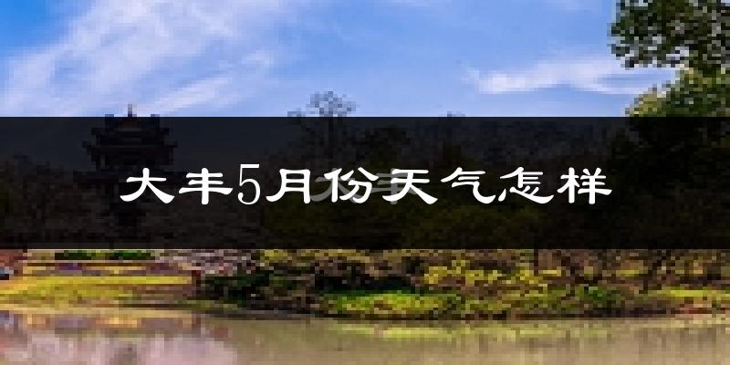 大丰5月份天气怎样?大丰五月冷不冷?