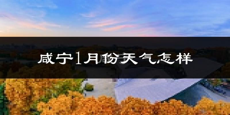 咸宁市1月份天气如何?很冷吗?