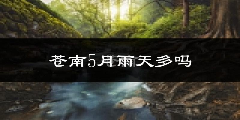 苍南5月雨天多吗?