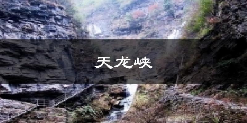天龙峡天气预报十五天