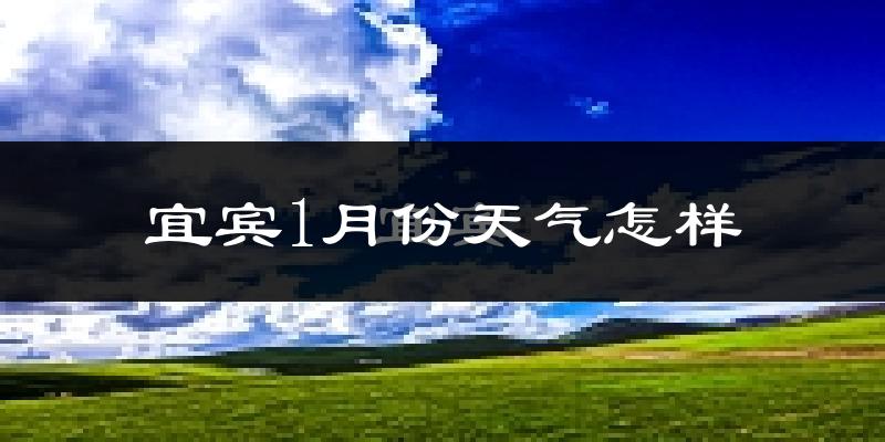 宜宾市1月份天气如何?很冷吗?