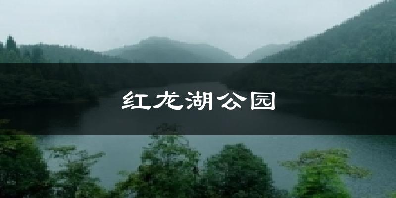 红龙湖公园天气预报十五天