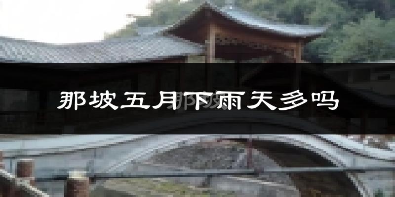 那坡五月下雨天多吗?那坡5月份降雨量多少?