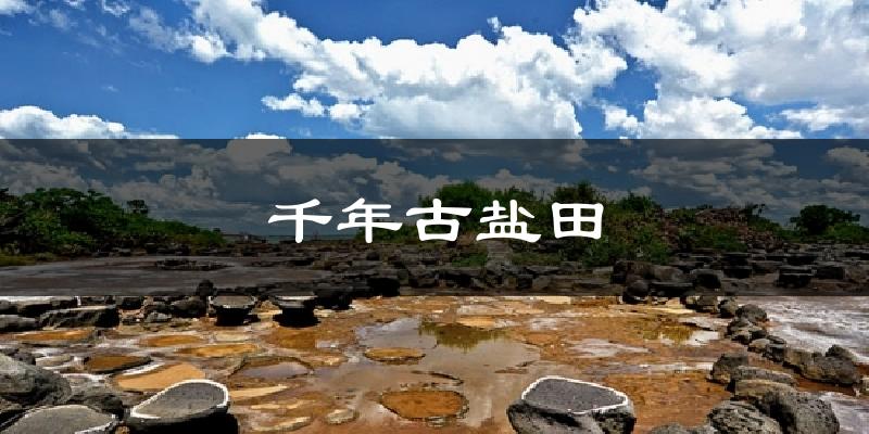 千年古盐田天气预报十五天