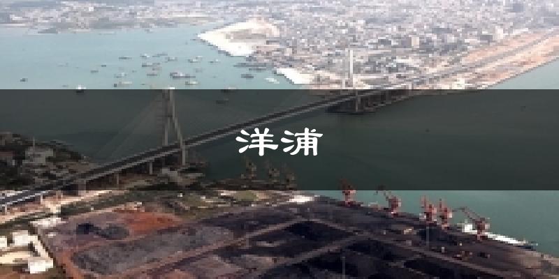 洋浦天气预报十五天