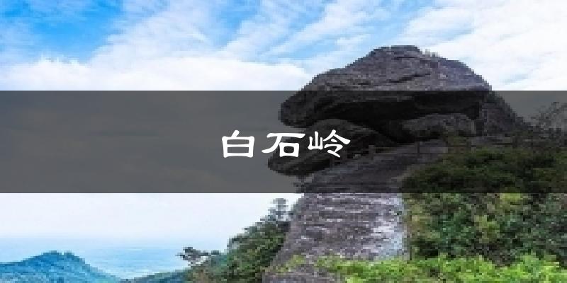 白石岭天气预报十五天